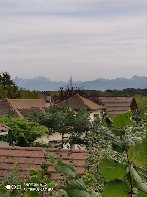 Gîte Magnolia à Divonne-les-Bains