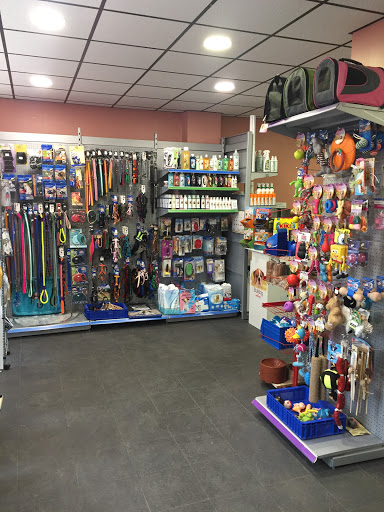 Mascotas Zamora - Puertollano