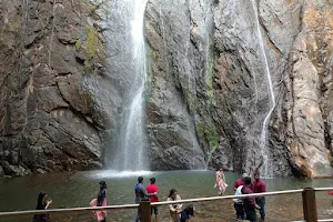 Pradhanpat Waterfall image