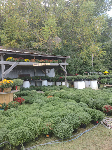 Festival «Backwoods Fest», reviews and photos, 8572 High Point Rd, Thornville, OH 43076, USA