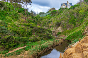 Daveys Bay Beach