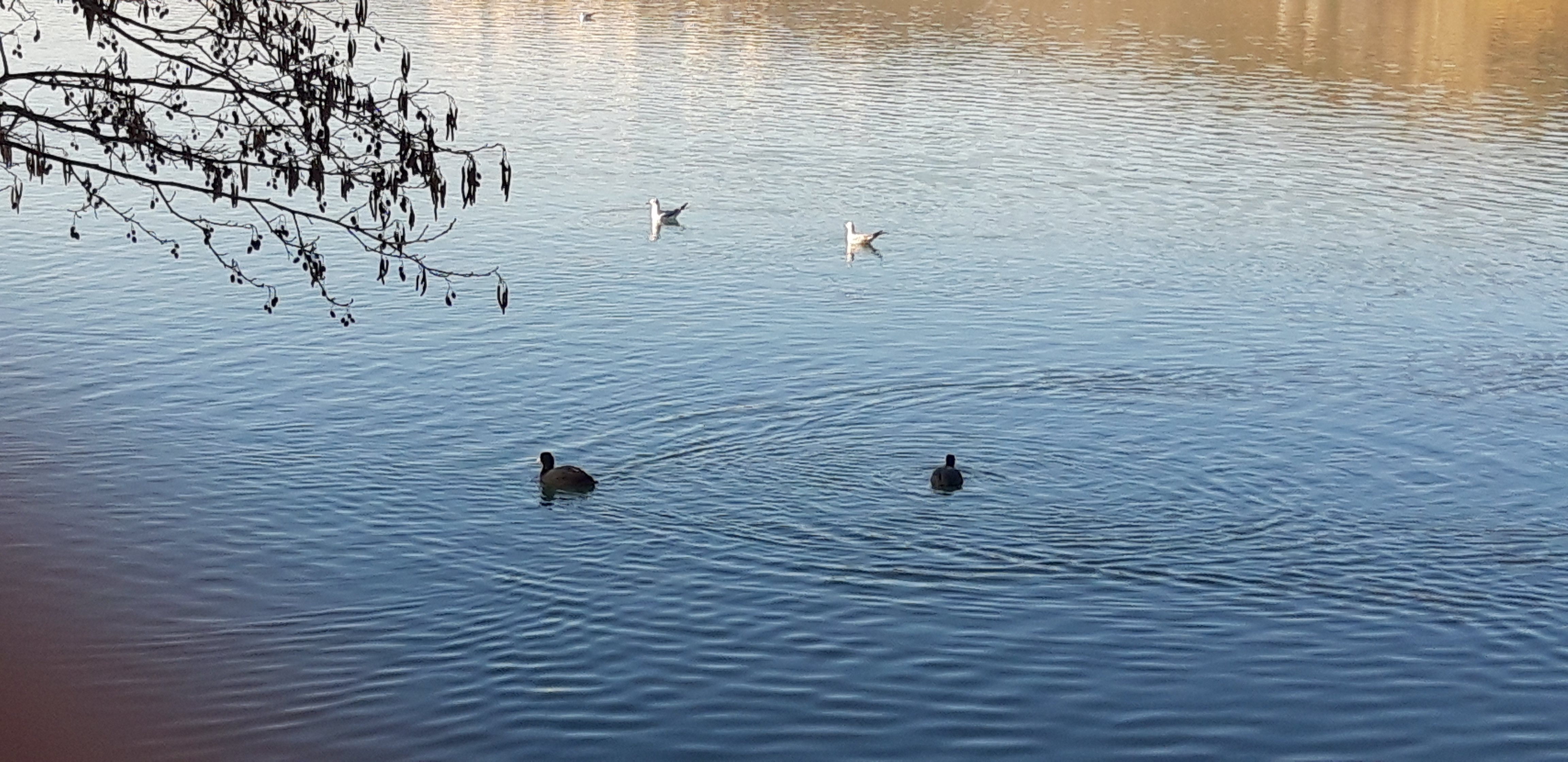 Photo n° 1 de l'avis de Lord.r fait le 29/01/2019 à 16:16