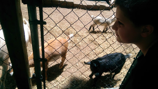 Zoo «Waccatee Zoological Farm», reviews and photos, 8500 Enterprise Rd, Myrtle Beach, SC 29588, USA