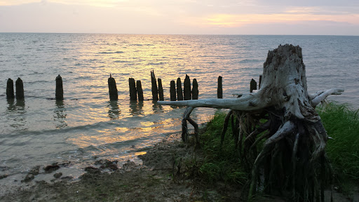 General Store «Cherrystone Resort Store», reviews and photos, 1357 Townfield Dr, Cape Charles, VA 23310, USA