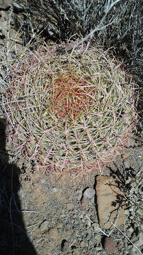 RV Park «Fort Beale RV Park», reviews and photos, 300 Metcalfe Rd, Kingman, AZ 86401, USA