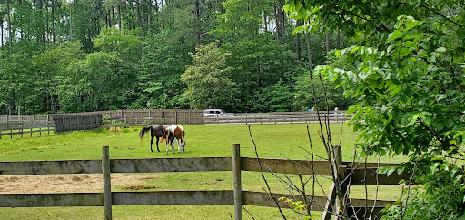 Theme Park «Frontier Town Western Theme Park», reviews and photos, 8428 Stephen Decatur Hwy, Berlin, MD 21811, USA
