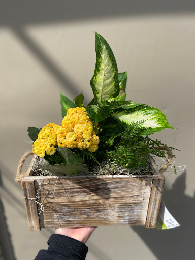 Florist «Design Works Flowers», reviews and photos, 624 N Main St, Rochester, MI 48307, USA