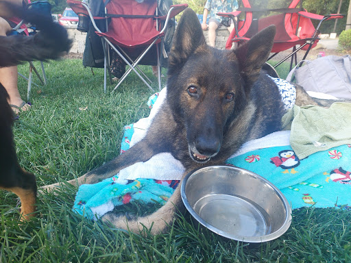 Memorial Park «Governor John Notte Memorial Park», reviews and photos, 1801 Douglas Ave, North Providence, RI 02904, USA