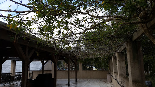 Winery «Dakotah Vineyards & Winery», reviews and photos, 14365 US-19, Chiefland, FL 32626, USA