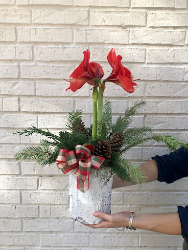 Florist «Texas Blooms and Gifts», reviews and photos, 4616 Triangle Ave #402, Austin, TX 78751, USA