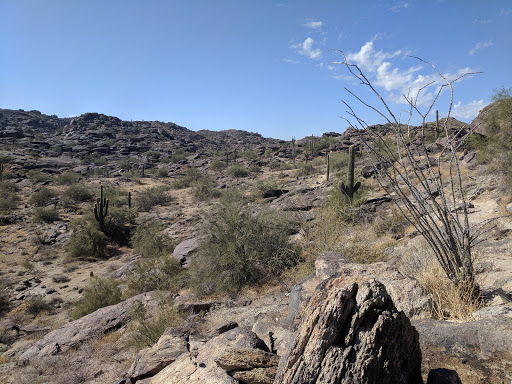 Park «South Mountain Park», reviews and photos, 10919 S Central Ave, Phoenix, AZ 85042, USA