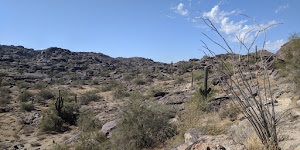 South Mountain Park and Preserve