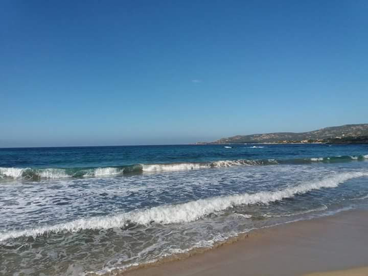 Photo n° 1 de l'avis de Helene.a fait le 27/03/2019 à 06:42