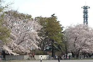 Tsutsujigaoka Park image