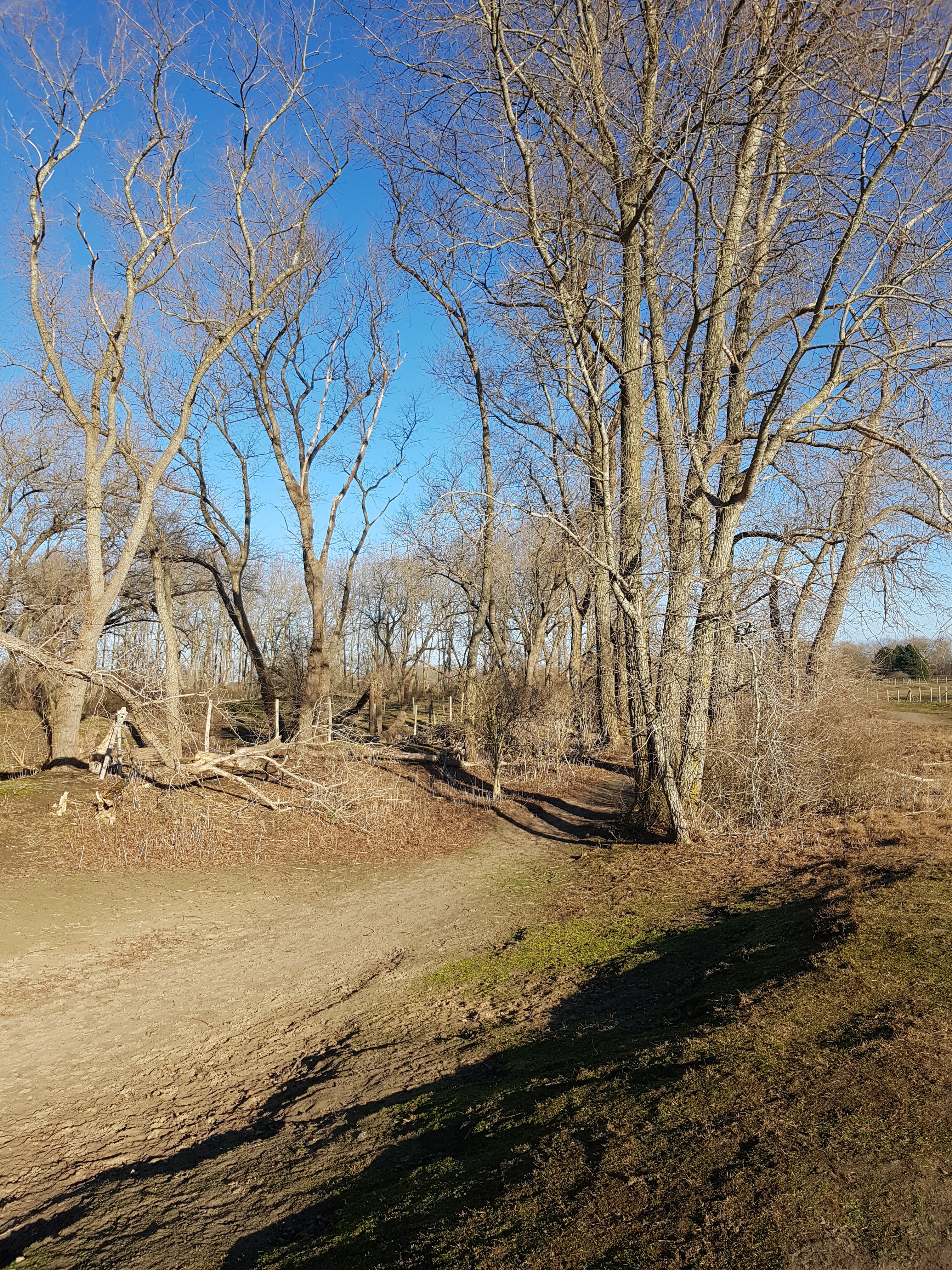 Photo n° 10 de l'avis de Nicolas.o fait le 03/02/2019 à 15:20