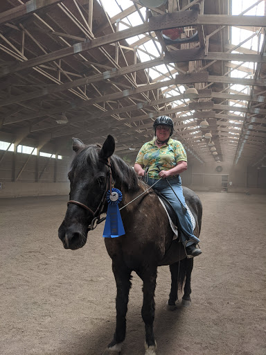 Derbyshire Stables