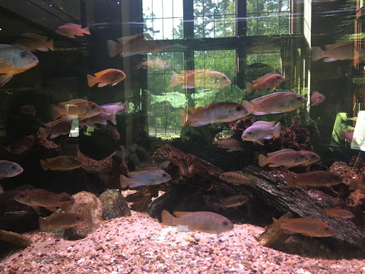 Association or Organization «SECU Family House at UNC Hospitals», reviews and photos