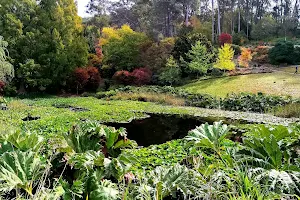 Mount Lofty Botanic Garden image