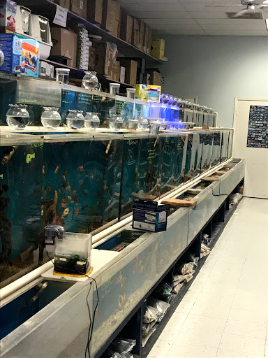 Pet Store «Animal Ark», reviews and photos, 2730 Brookdale Dr, Kingwood, TX 77339, USA