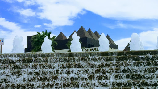 Art Museum «The Art Museum of South Texas», reviews and photos, 1902 N Shoreline Blvd, Corpus Christi, TX 78401, USA