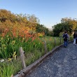 University of California Irvine Arboretum