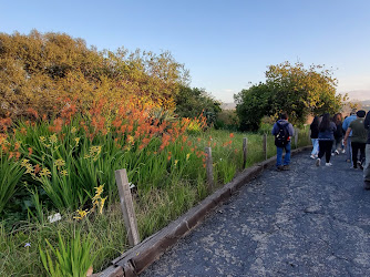 University of California Irvine Arboretum