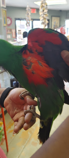 Pet Store «Hendersonville Pet Shop», reviews and photos, 1400 Spartanburg Hwy, Hendersonville, NC 28792, USA