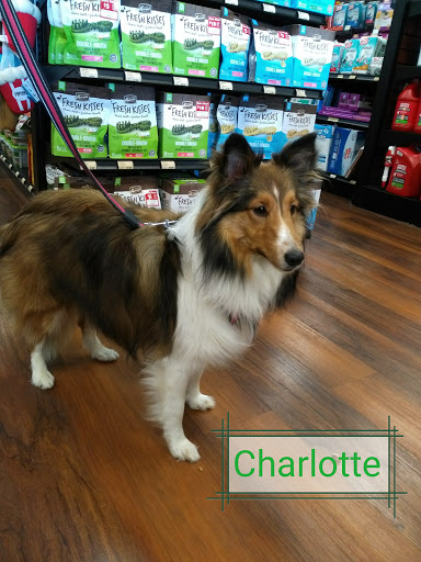 Pet Store «Pet Valu», reviews and photos, 1729 Quentin Rd, Lebanon, PA 17042, USA