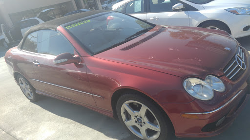 Used Car Dealer «Auto Market Inc», reviews and photos, 277 White Bridge Pike, Nashville, TN 37209, USA