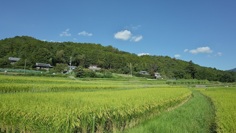 笹部の棚田