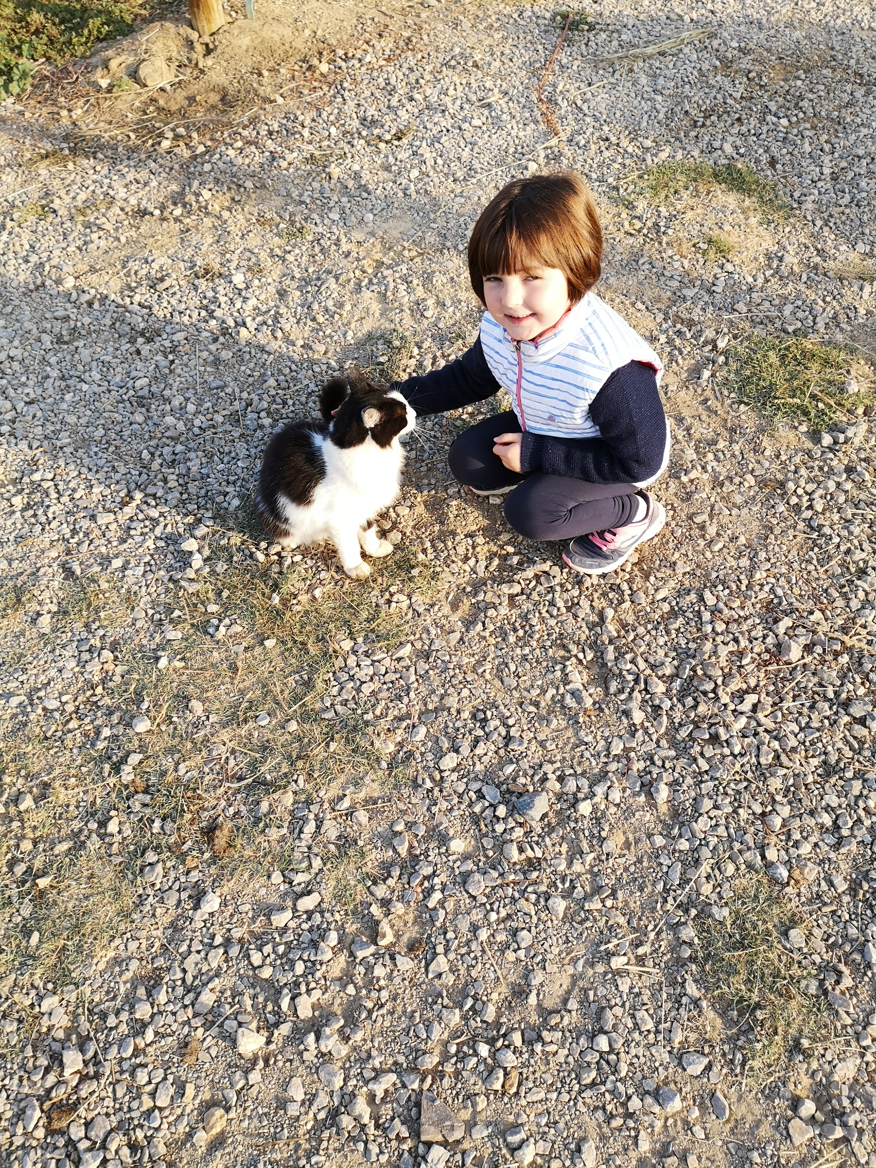 Photo n° 17 de l'avis de Emmanuel.e fait le 18/11/2018 à 11:03