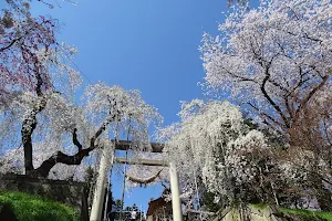 Eboshiyama Park image