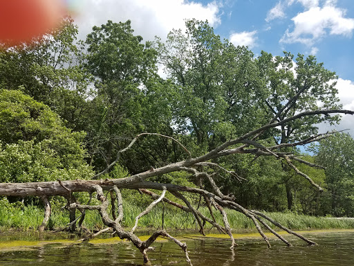 Nature Preserve «Pulaski Woods East», reviews and photos, 9600 Wolf Rd, Willow Springs, IL 60480, USA