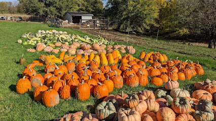 Frank Pumpkin Farm