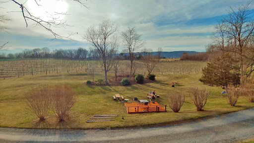 Vineyard «North Mountain Vineyard and Winery», reviews and photos, 4374 Swartz Rd, Maurertown, VA 22644, USA