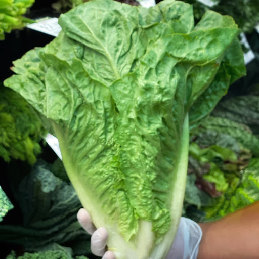 Health Food Store «Love Whole Foods Cafe & Market», reviews and photos, 1633 Taylor Rd, Port Orange, FL 32128, USA