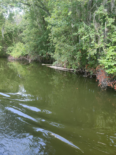 Tourist Attraction «Premier Boat Tours», reviews and photos, 100 Alexander St, Mt Dora, FL 32757, USA