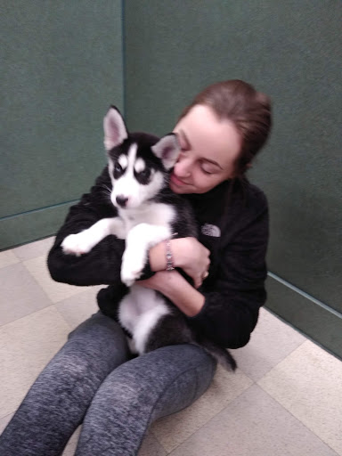 Pet Store «Petland», reviews and photos, 351 Diederich Blvd, Ashland, KY 41101, USA