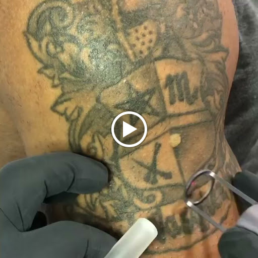 Explore half sleeve tattoo ideas for females, creative tattoo ideas in Kissimmee, available at Fallen Sparrow Tattoo Co