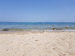 Plage Vothonas'in fotoğrafı imkanlar alanı