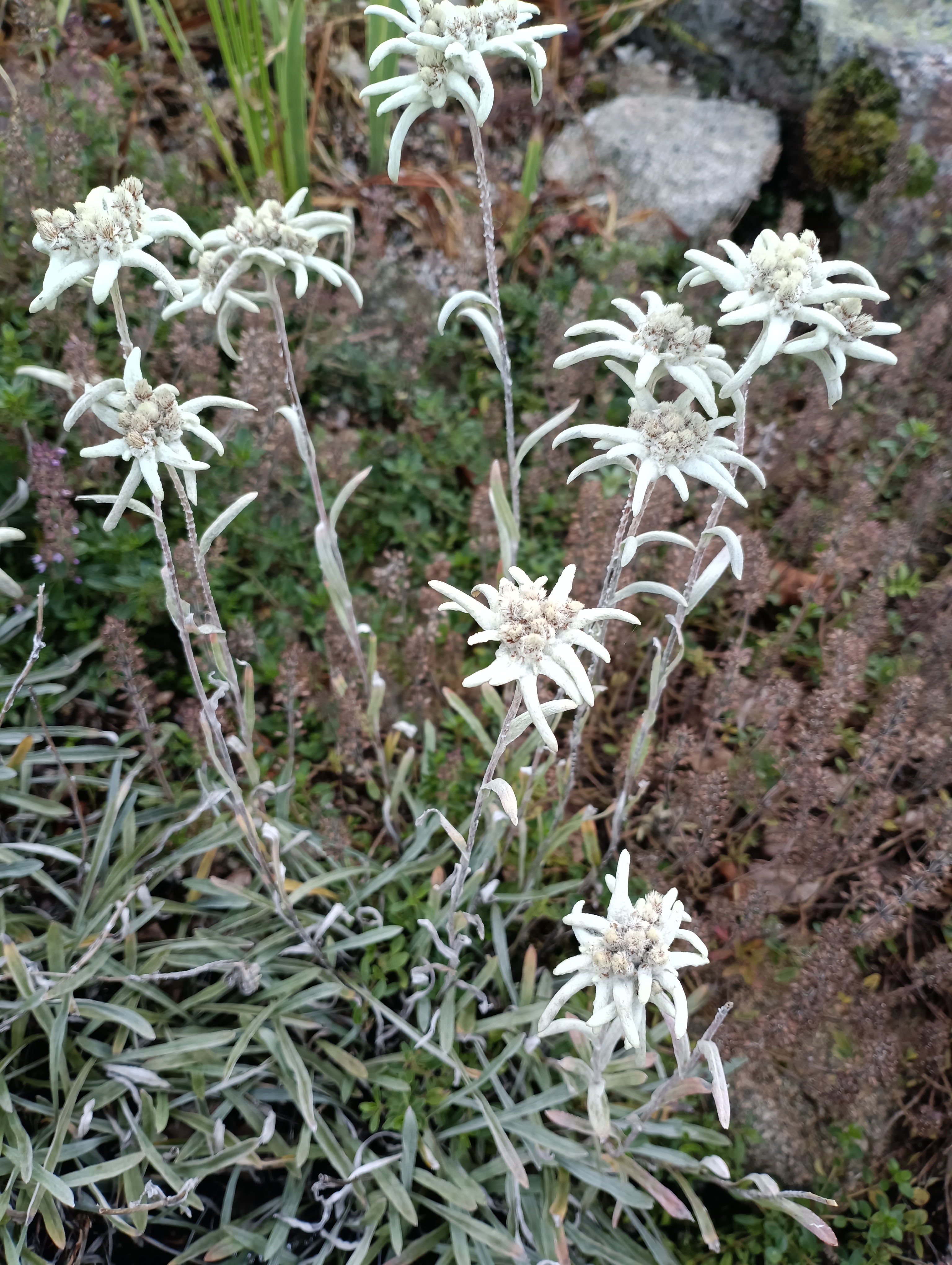 Photo n° 3 de l'avis de Claire.s fait le 14/09/2023 à 06:28