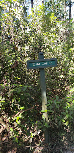 Park «Winston Park Nature Center», reviews and photos, 5201 NW 49th Ave, Coconut Creek, FL 33073, USA