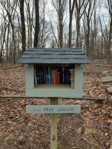 Little Free Neighborhood Library