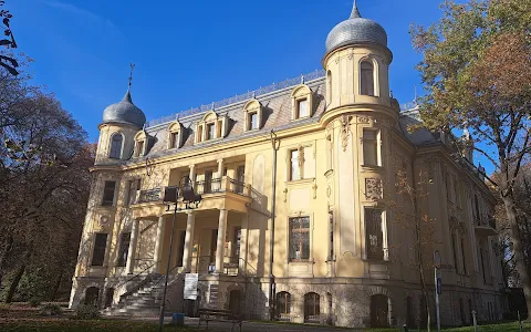Schoen Palace Museum in Sosnowiec image