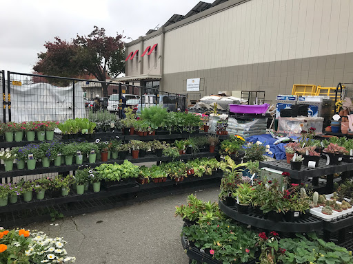 Hardware Store «Laurel Ace Hardware», reviews and photos, 4024 MacArthur Blvd, Oakland, CA 94619, USA