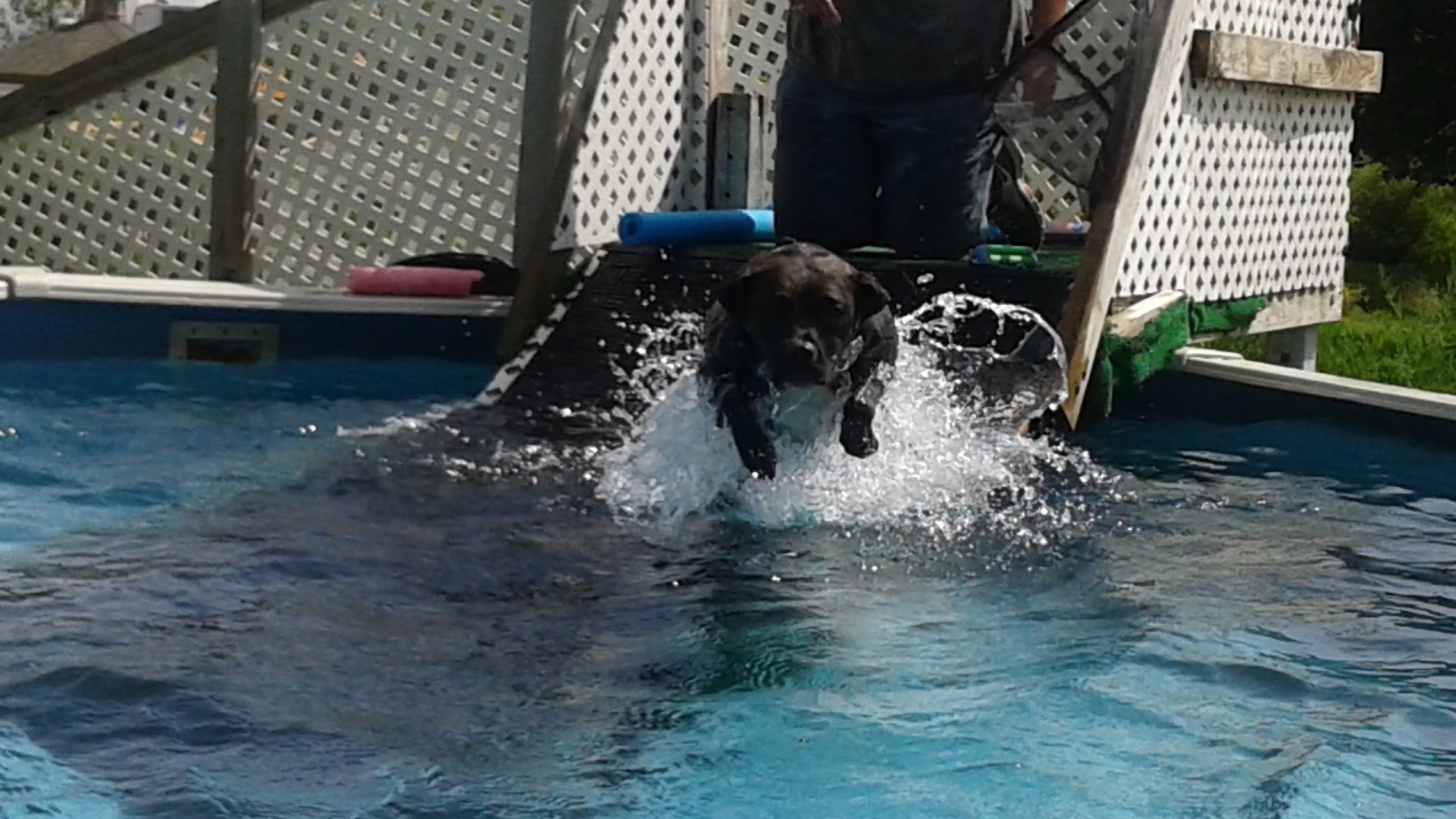 Rocky Creek Dog Agility