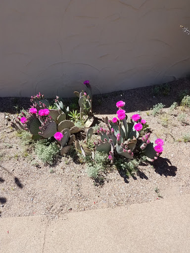 National Park «Casa Grande Ruins National Monument», reviews and photos, 1100 W Ruins Dr, Coolidge, AZ 85128, USA