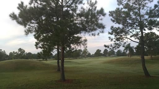 Public Golf Course «Summerfield Crossings Golf Club», reviews and photos, 13050 Summerfield Blvd, Riverview, FL 33579, USA