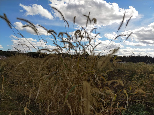 Produce Market «Solly Brothers», reviews and photos, 707 Almshouse Rd, Warminster, PA 18974, USA