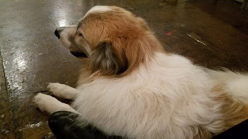 Art Gallery «Space Gallery», reviews and photos, 538 Congress St, Portland, ME 04101, USA